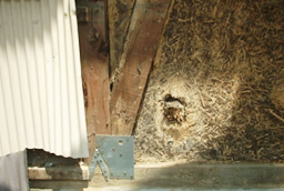 リフォーム事例写真